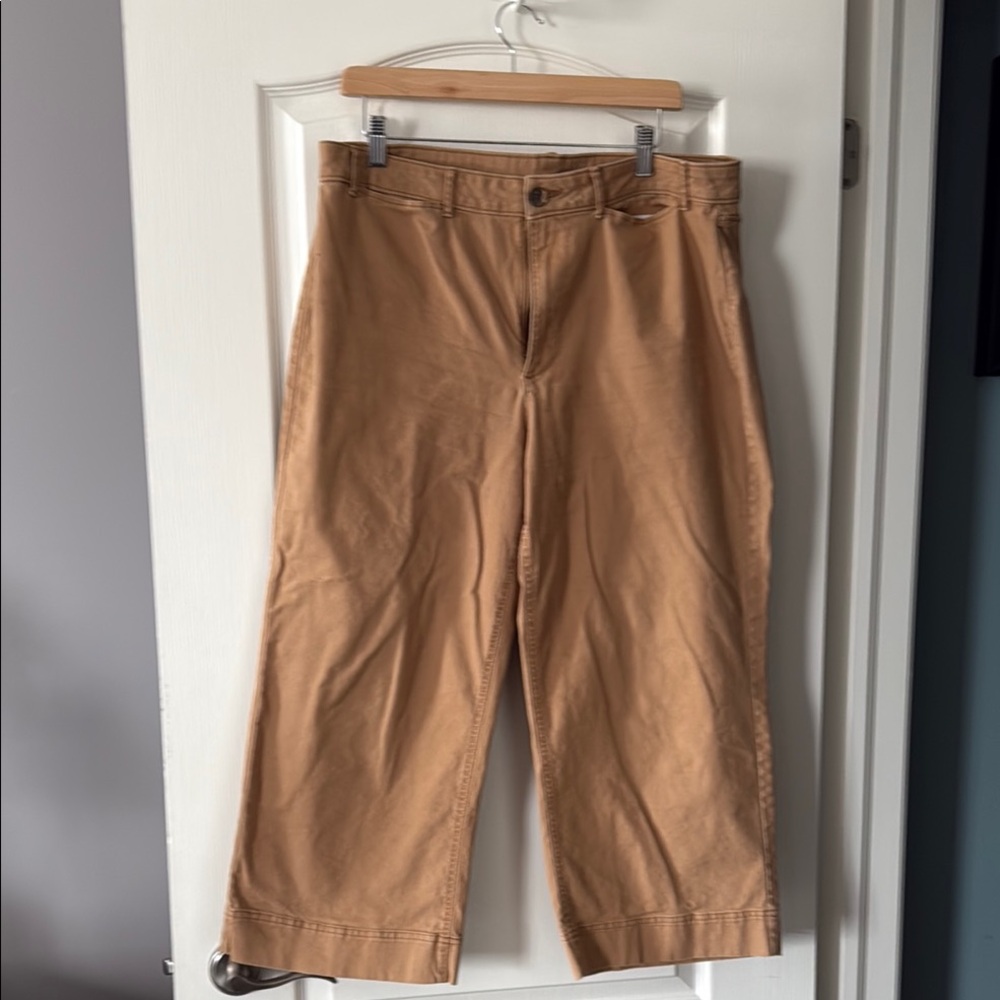 Old Navy Tan Cropped Ankle Pants Size 14P Work Office Casual